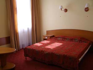 Standard double or twin with city view, and private facilities